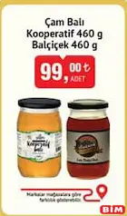 ÇAM BALI KOOPERATİF 460 G/BALÇİÇEK 460 G fiyat ve kampanya bilgisi
